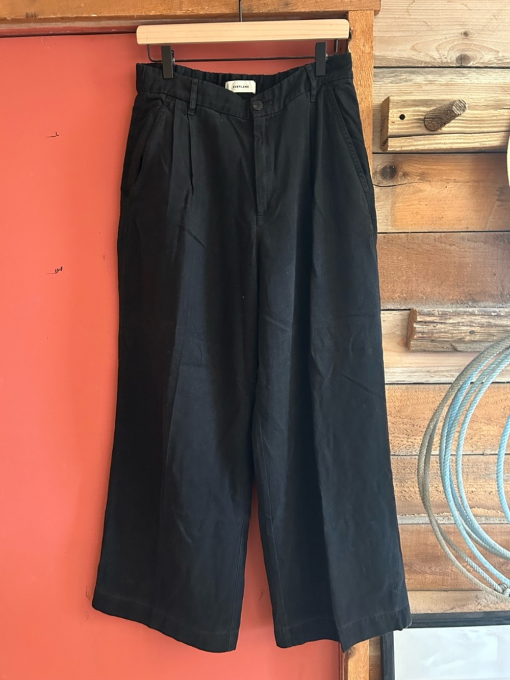 Everlane Pleated Chinos